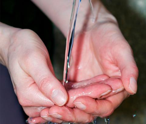 agua